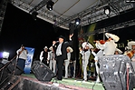 microfono oro (42)