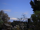 mexico city (53)