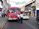 toluca (52)